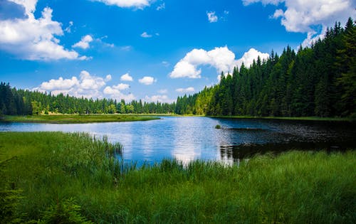 Jaké účinky má sladkovodní sinice spirulina